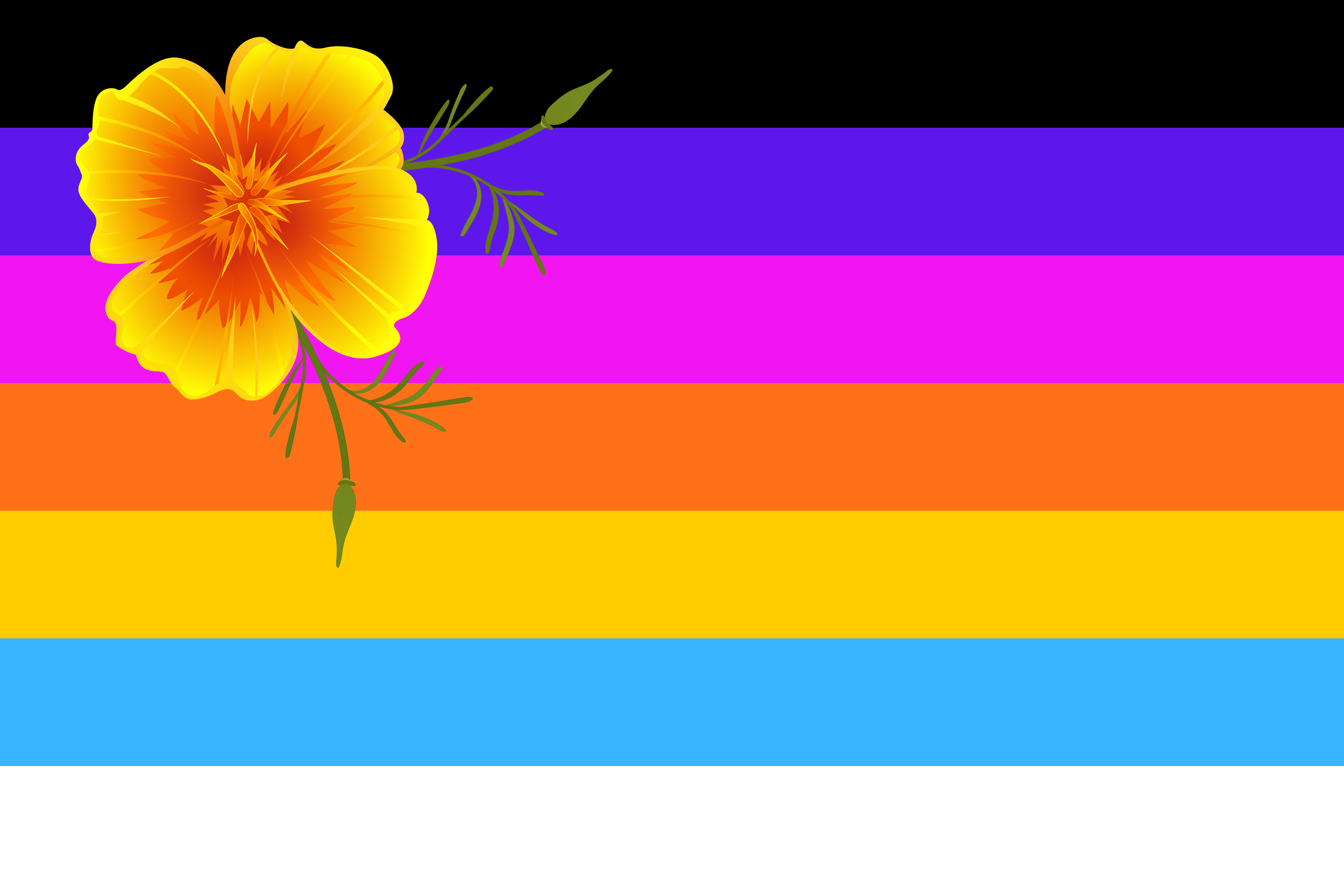 East County San Diego - Queer & Trans Flag